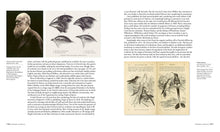 Load image into Gallery viewer, Scientifica Historia