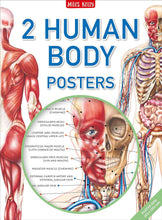 Load image into Gallery viewer, Human Body Poster Pack (2 Posters)