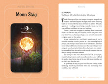 Load image into Gallery viewer, Moon Magic Book & Card Deck