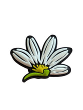 Load image into Gallery viewer, Hawai'i Shoe Charms