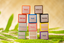 Load image into Gallery viewer, Waiho’olu’u Blocks