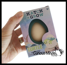 Load image into Gallery viewer, 1 Hatch a Turtle Animal Grow in Water - Add Water Expands