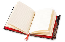 Load image into Gallery viewer, Sun And Sea Lacquer Chinese Screen C. 18Th Century Journal