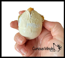 Load image into Gallery viewer, 1 Hatch a Turtle Animal Grow in Water - Add Water Expands