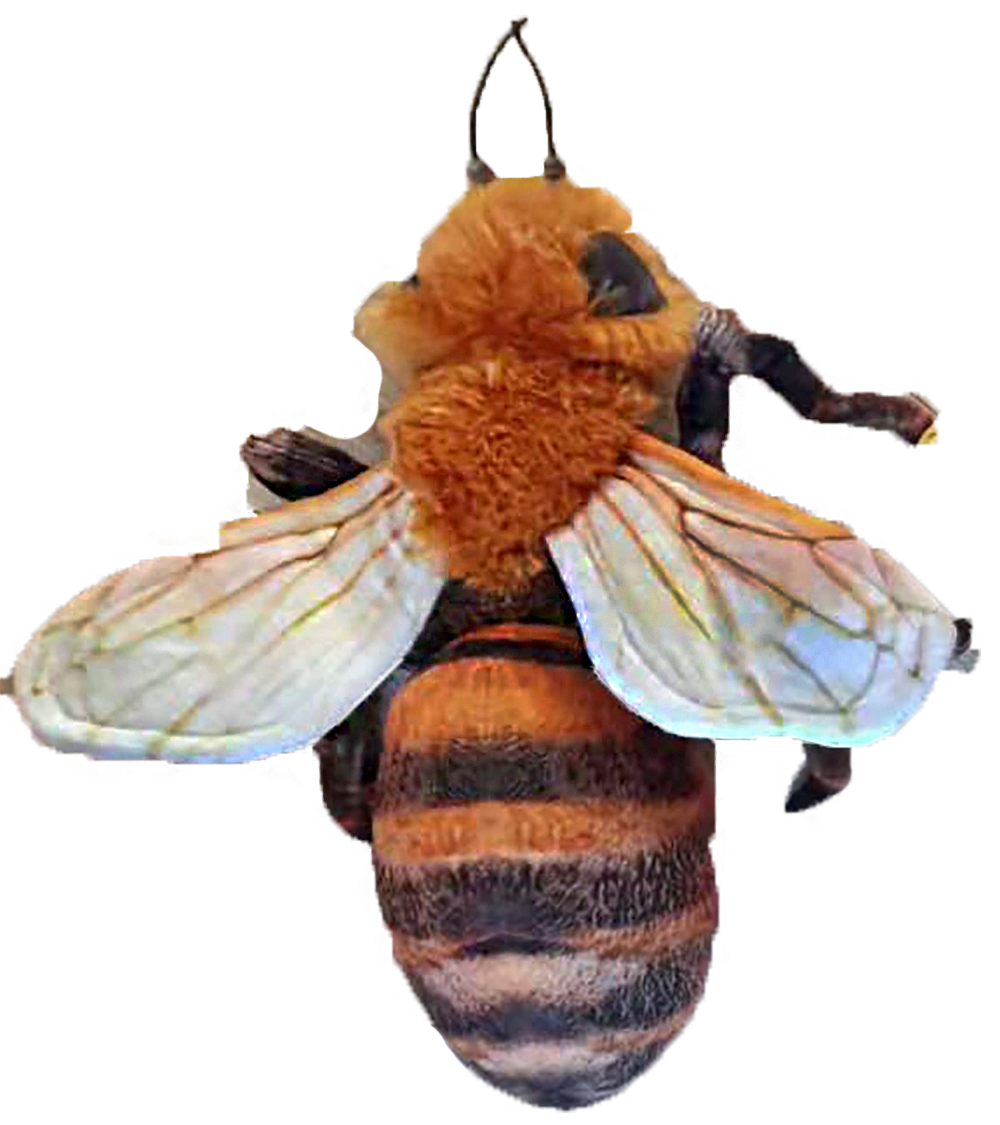 Bee 14 Plush Insect Stuffed Animal