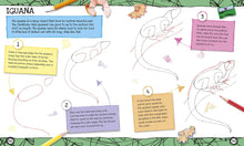 Load image into Gallery viewer, How To Draw Everything