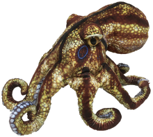 Load image into Gallery viewer, Octopus Aquatic Ocean Plush 10" Stuffed Animal