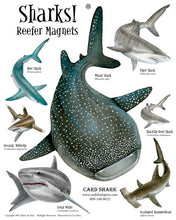 Load image into Gallery viewer, Sharks! Reefer Magnets