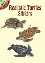 Load image into Gallery viewer, Little Activity Books Realistic Turtles Stickers by Sy Barlowe
