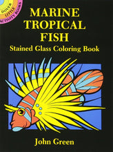 Load image into Gallery viewer, Little Activity Books Marine Tropical Fish Stained Glass Coloring Book by John Green