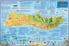 Load image into Gallery viewer, Franko Adventure Guide Map