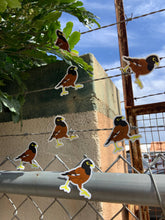 Load image into Gallery viewer, Myna Bird Sticker
