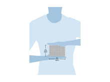 Load image into Gallery viewer, Dolphin - Marine Life
