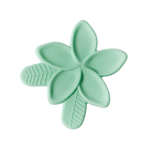 Load image into Gallery viewer, Hawai&#39;i Teether
