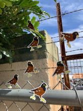 Load image into Gallery viewer, Myna Bird Sticker
