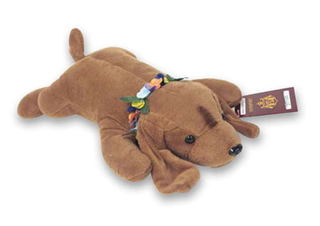 IG Hawaiian Collectibles Medium Plush - Passport Poi Dog