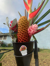 Load image into Gallery viewer, Protea Bucket Sticker

