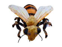 Load image into Gallery viewer, Bee 14&quot; Plush Insect Stuffed Animal
