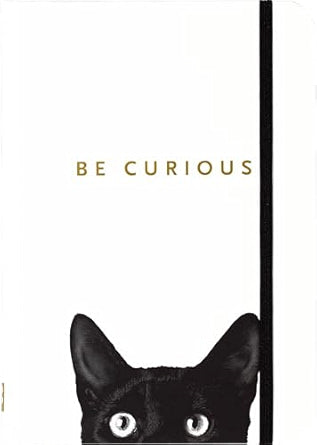 Curious Cats Journal (Small)