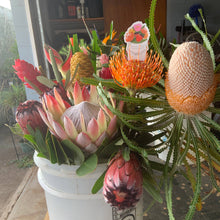 Load image into Gallery viewer, Protea Bucket Sticker

