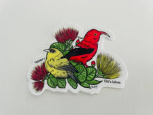 Load image into Gallery viewer, Hawaii Forest Bird Clear Sticker - 'Akeke'e &amp; 'I'iwi
