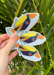 Humu Fish Sticker