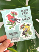 Load image into Gallery viewer, Forest Birds of Hawai'i Sticker Sheet
