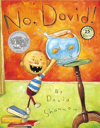 No David Board Book