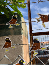 Load image into Gallery viewer, Myna Bird Sticker

