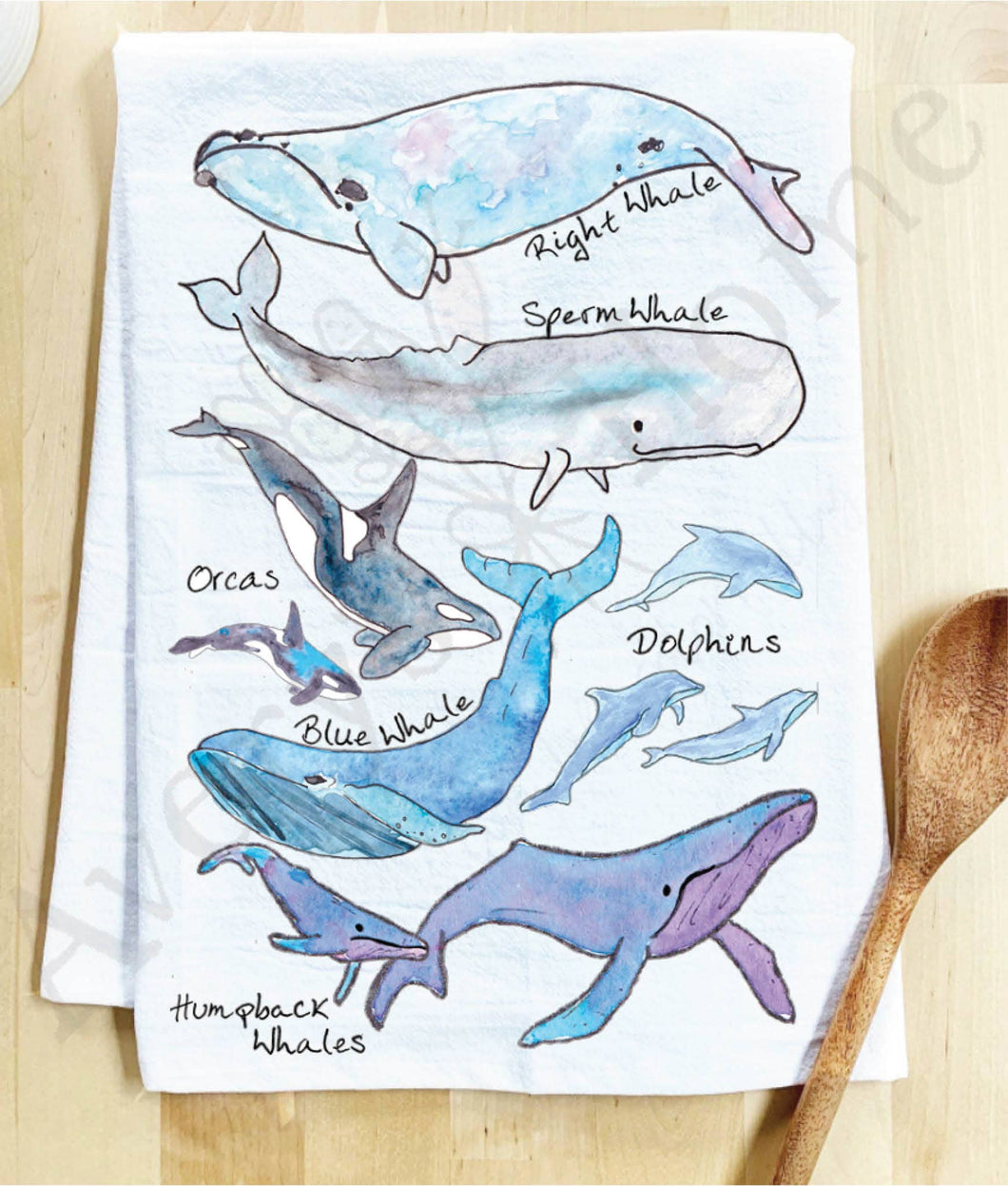 Whale Species Coastal Kitchen Towel