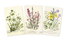 Load image into Gallery viewer, Royal Botanic Garden Edinburgh Set of 3 Mini Notebooks
