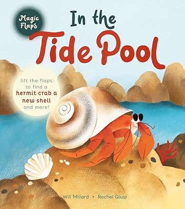 In the Tide Pool by Will Millard by Rachel Qiuqi