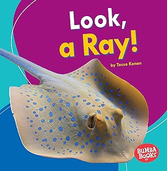 Look A Ray by Tessa Kenan