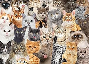 All The Cats Puzzle