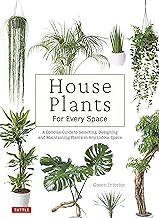 House Plants For Every Space