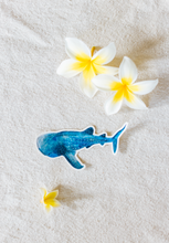 Load image into Gallery viewer, Whale Shark Sticker
