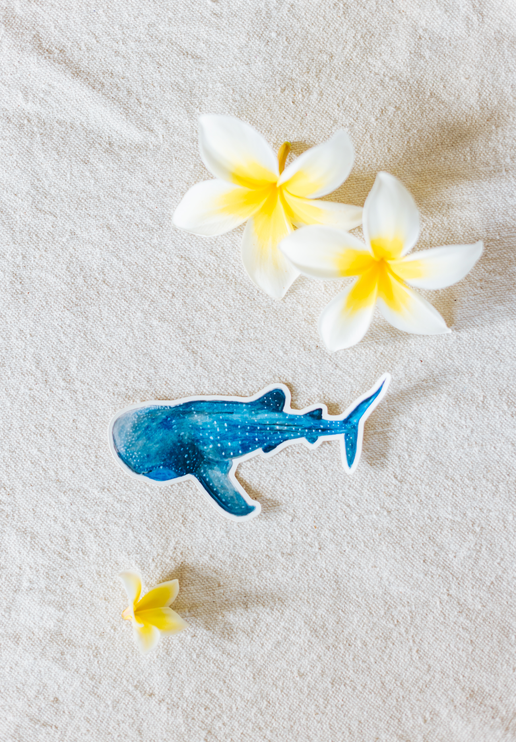 Whale Shark Sticker