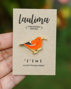 Iiwi Pin