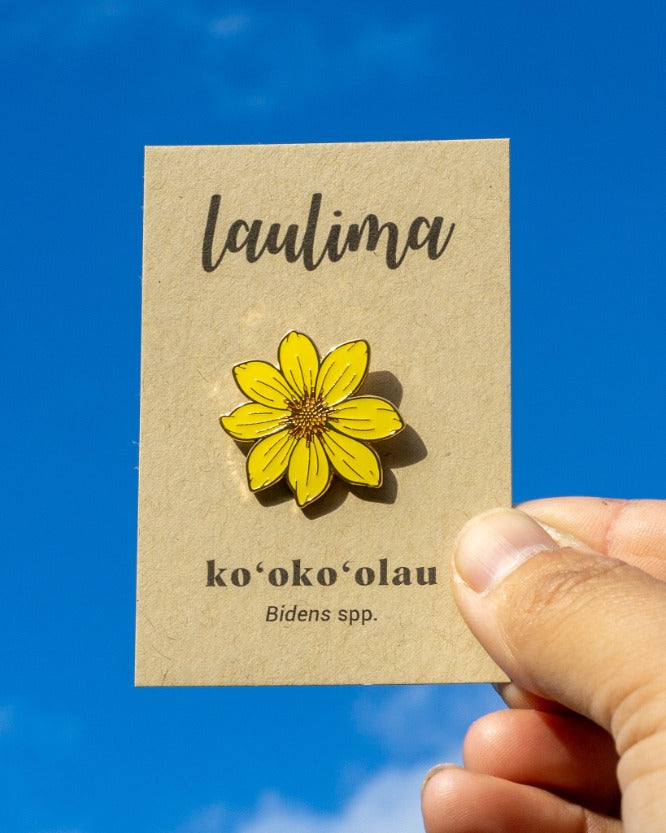Koʻokoʻolau Pin