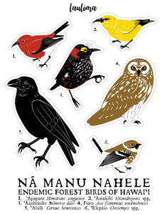 Endemic Forest Birds Sticker Sheet