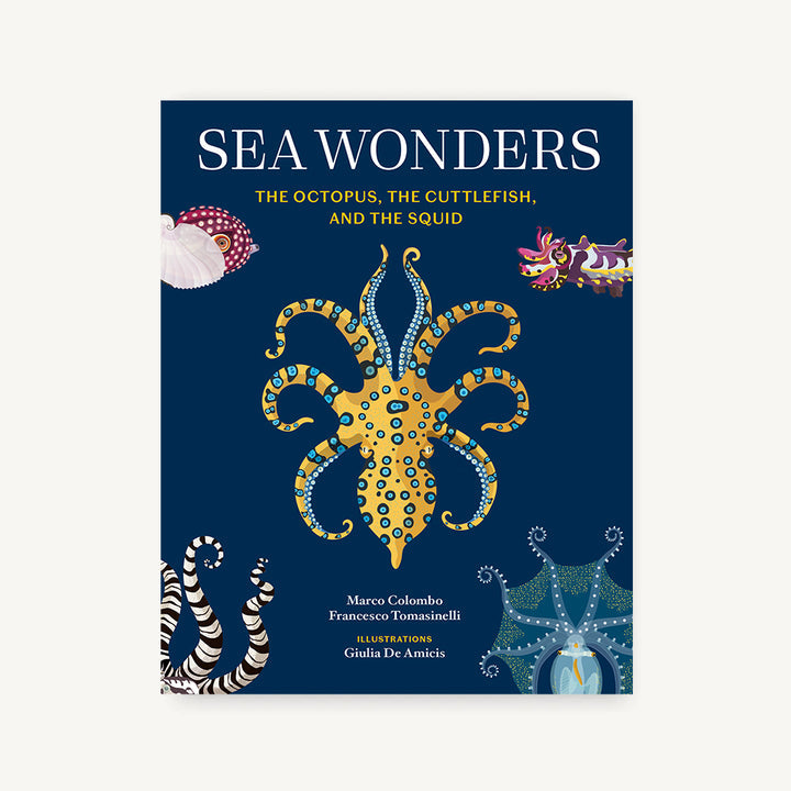 Sea Wonders: The Octopus, the Cuttlefish, and the Squid by Marco Colombo, Francesco Tomasinelli, and Giulia De Amicis