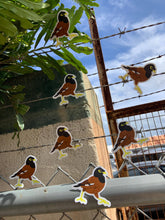Load image into Gallery viewer, Myna Bird Sticker

