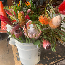 Load image into Gallery viewer, Protea Bucket Sticker
