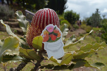 Load image into Gallery viewer, Protea Bucket Sticker
