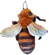 Load image into Gallery viewer, Bee 14&quot; Plush Insect Stuffed Animal
