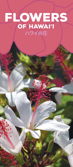 Flowers of Hawaii (Hawaii Pocket Guides) by Kim Crinella