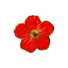 Ko'oloa'ula Pin