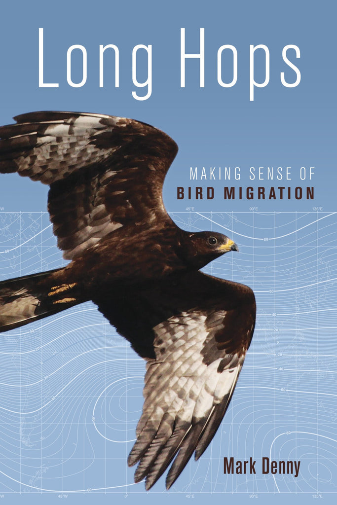 Long Hops  Bird Migration