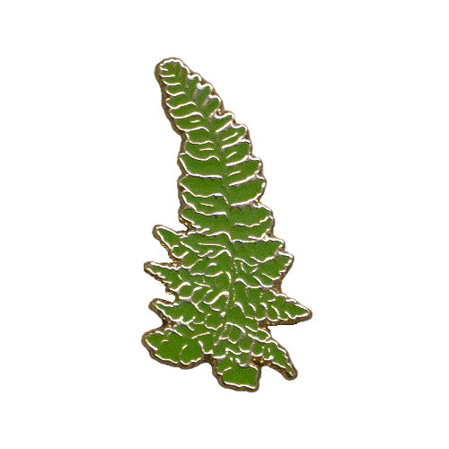 Palapalai Pin