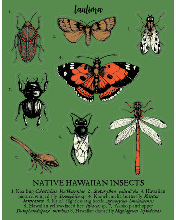 Insect Sticker Sheet